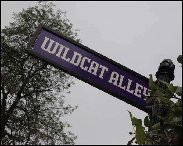 Blue board of Wildcat Alley