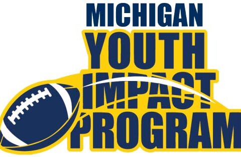 Michigan Youth Impact Program