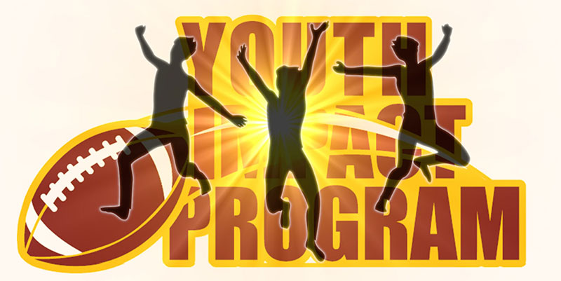 Youth Impact Program Graphical Illustrator