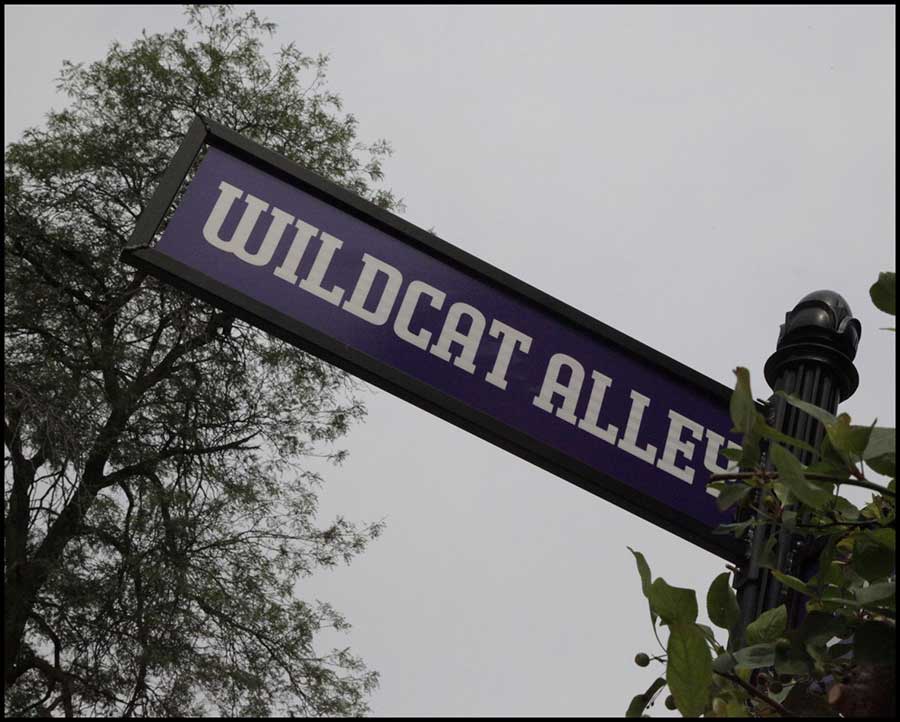 Wildcat entrance